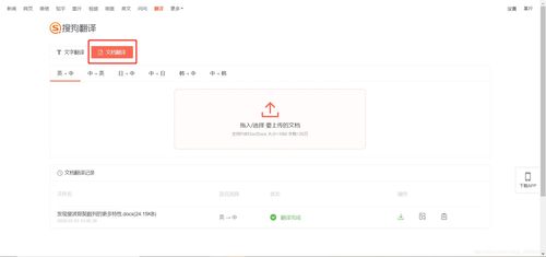 英語論文文獻翻譯小竅門