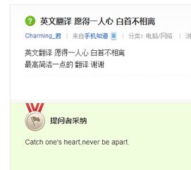 誰幫我翻譯成英文